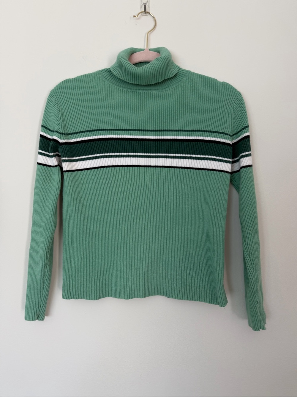 Turtleneck Ribbed Sweater in Green with Stripe Detail
